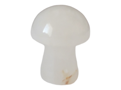 0.75" Mushroom Hand Carved - Random